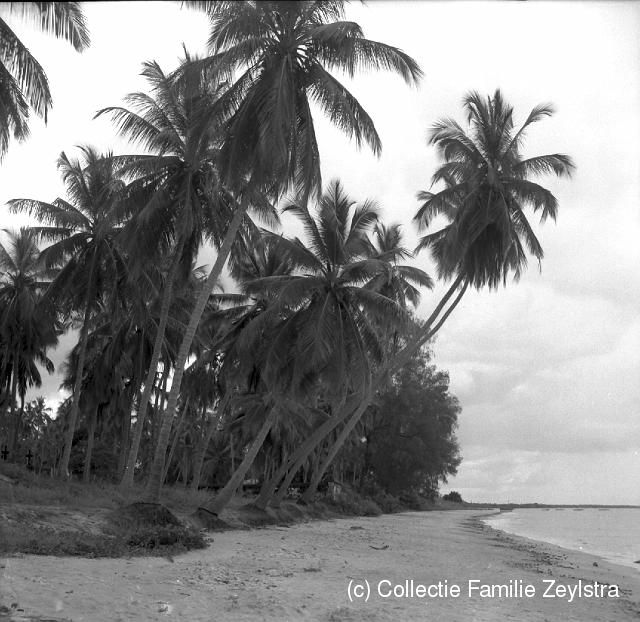 zanz2-35.jpg - Het strand van Bagamyo