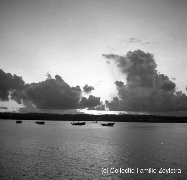 zanz2-7.jpg - Dohws op de rede van Zanzibar
