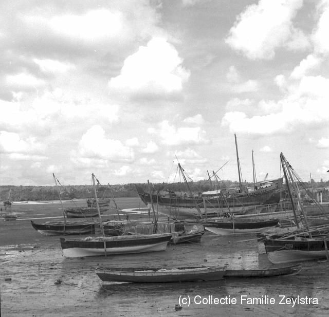 zanz2-9.jpg - Dohws op de het strand van Zanzibar